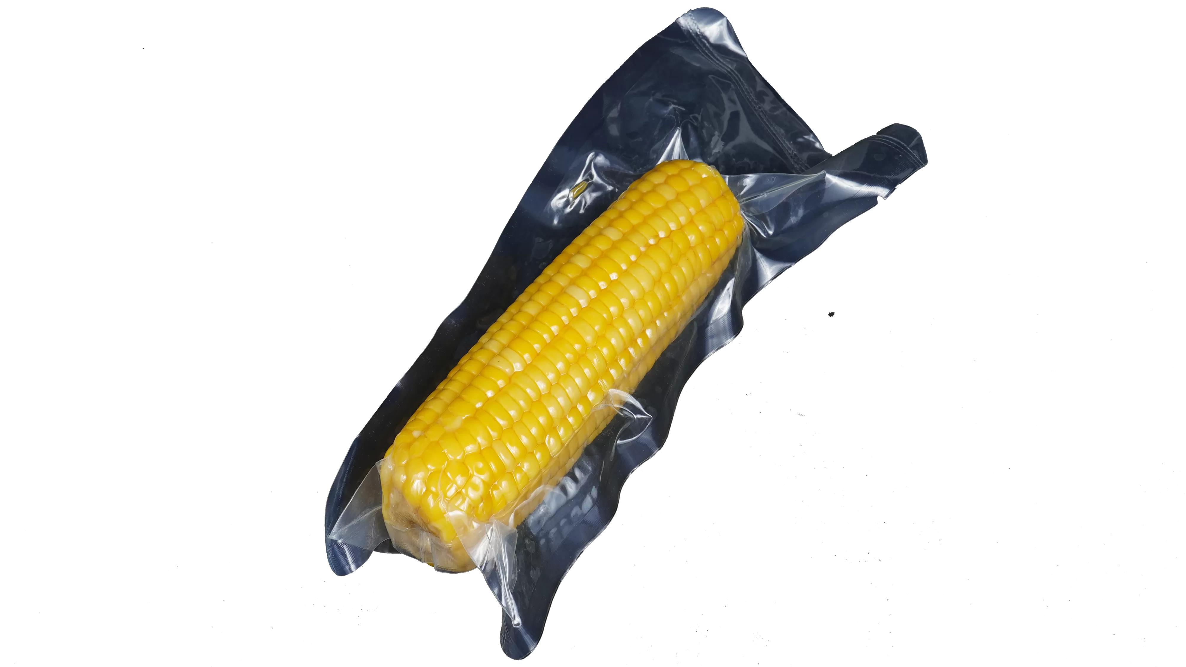 sacs de mise sous vide pour aliments